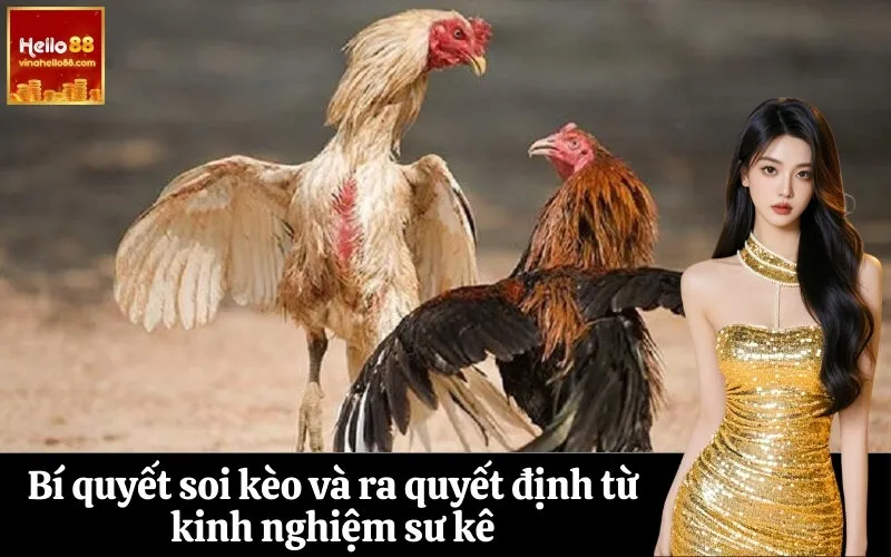 Bí quyết soi kèo và ra quyết định từ kinh nghiệm sư kê