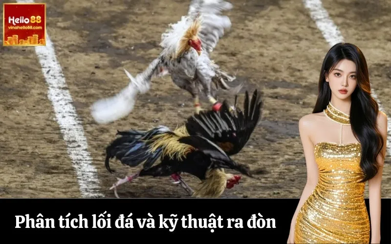 Phân tích lối đá và kỹ thuật ra đòn